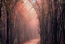 天涯论坛十大神贴回顾：那些让你刷屏的经典回忆！