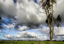 天涯论坛删贴风波：网友热议背后的真相揭秘！